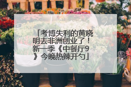 考博失利的黄晓明去非洲创业了！新一季《中餐厅9》今晚热辣开勺
