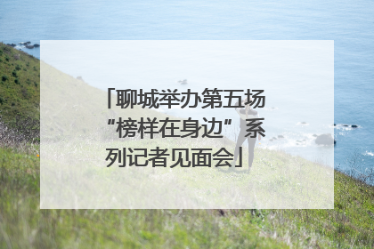聊城举办第五场“榜样在身边”系列记者见面会