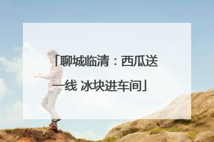 聊城临清：西瓜送一线 冰块进车间