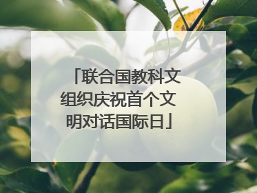 联合国教科文组织庆祝首个文明对话国际日