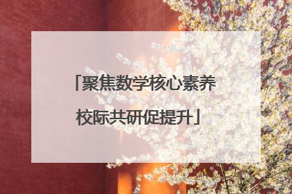 聚焦数学核心素养 校际共研促提升
