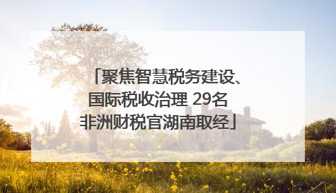 聚焦智慧税务建设、国际税收治理 29名非洲财税官湖南取经