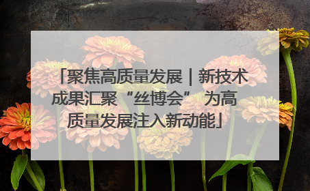 聚焦高质量发展｜新技术成果汇聚“丝博会” 为高质量发展注入新动能
