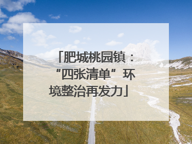 肥城桃园镇：“四张清单”环境整治再发力