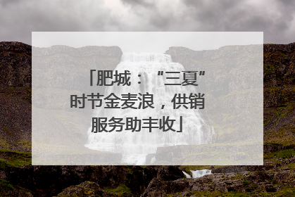 肥城：“三夏”时节金麦浪，供销服务助丰收