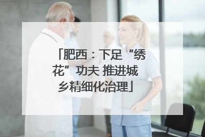 肥西：下足“绣花”功夫 推进城乡精细化治理