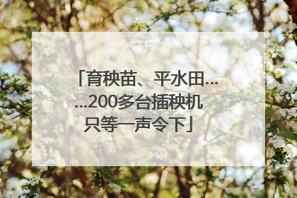 育秧苗、平水田……200多台插秧机只等一声令下