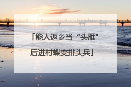 能人返乡当“头雁” 后进村蝶变排头兵