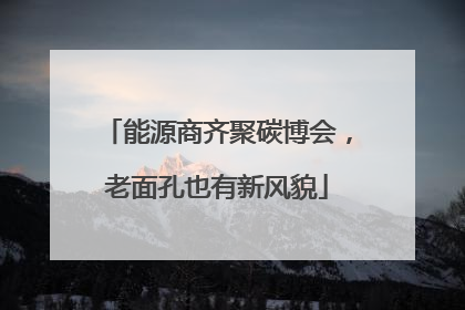 能源商齐聚碳博会，老面孔也有新风貌