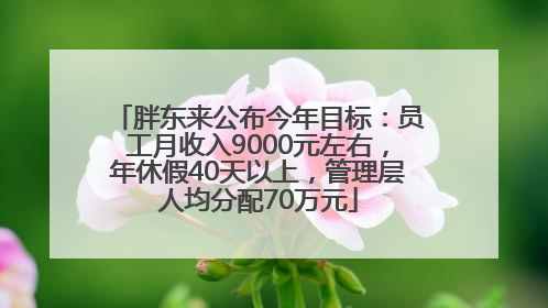 胖东来公布今年目标：员工月收入9000元左右，年休假40天以上，管理层人均分配70万元