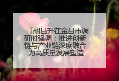 胡昌升在金昌市调研时强调：推进创新链与产业链深度融合 为高质量发展塑造新动能新优势