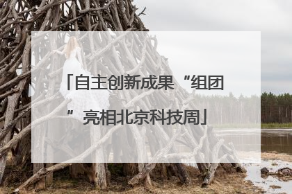 自主创新成果“组团”亮相北京科技周