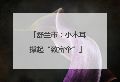 舒兰市：小木耳撑起“致富伞”