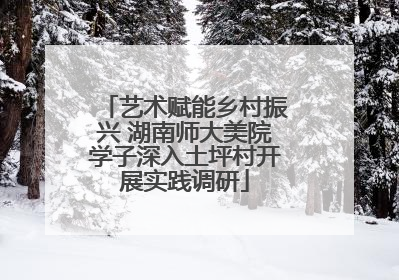 艺术赋能乡村振兴 湖南师大美院学子深入土坪村开展实践调研