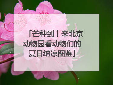 芒种到丨来北京动物园看动物们的夏日纳凉图鉴
