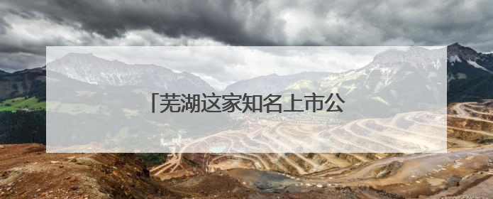 芜湖这家知名上市公司，中国行业第一！