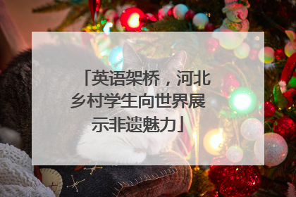 英语架桥，河北乡村学生向世界展示非遗魅力