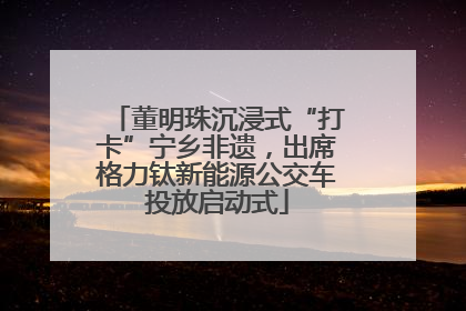 董明珠沉浸式“打卡”宁乡非遗，出席格力钛新能源公交车投放启动式