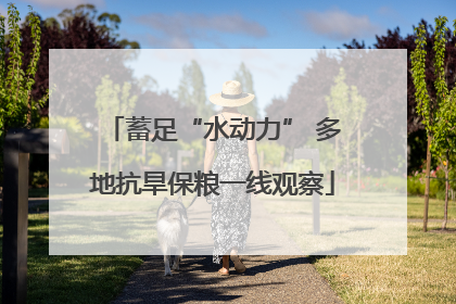 蓄足“水动力” 多地抗旱保粮一线观察