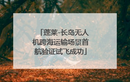 蓬莱-长岛无人机跨海运输场景首航验证试飞成功
