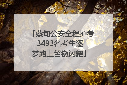 蔡甸公安全程护考 3493名考生逐梦路上警徽闪耀