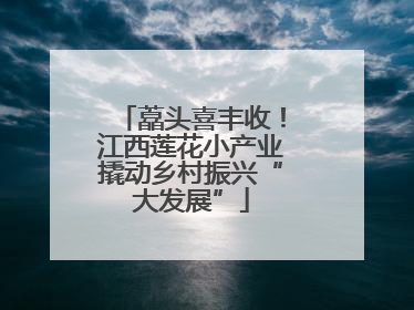 藠头喜丰收！江西莲花小产业撬动乡村振兴“大发展”