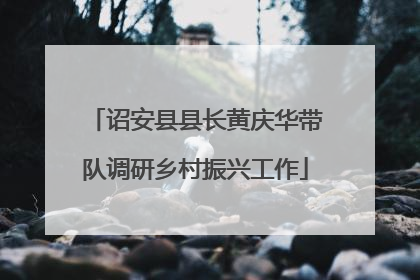 诏安县县长黄庆华带队调研乡村振兴工作
