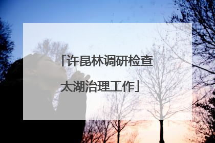 许昆林调研检查太湖治理工作