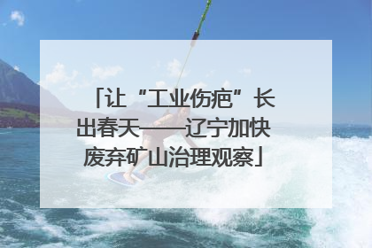 让“工业伤疤”长出春天——辽宁加快废弃矿山治理观察