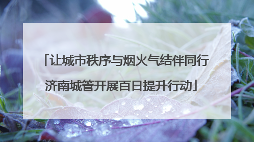 让城市秩序与烟火气结伴同行 济南城管开展百日提升行动