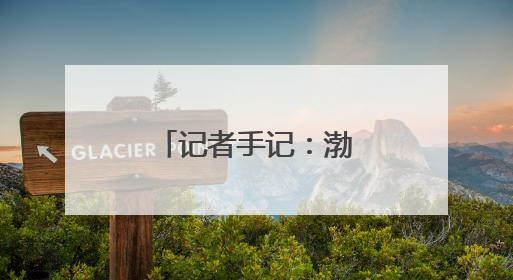 记者手记：渤海湾畔盐碱滩变身“新粮仓”