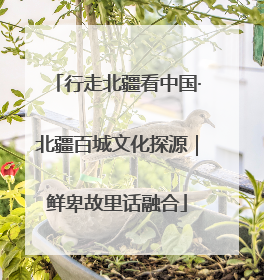 行走北疆看中国·北疆百城文化探源｜鲜卑故里话融合