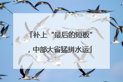 补上“最后的短板”，中部大省猛拼水运