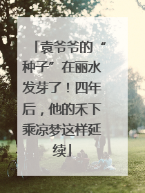 袁爷爷的“种子”在丽水发芽了！四年后，他的禾下乘凉梦这样延续