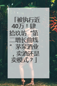 被执行近40万！肆拾玖坊“第二增长曲线”茅泉酒业，卖酒还是卖模式？