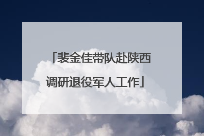 裴金佳带队赴陕西调研退役军人工作