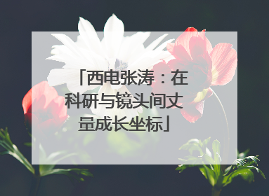 西电张涛：在科研与镜头间丈量成长坐标