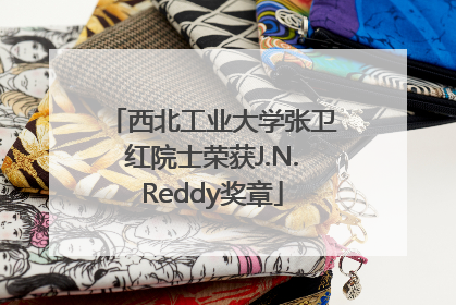 西北工业大学张卫红院士荣获J.N.Reddy奖章