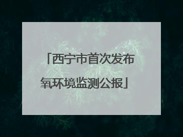 西宁市首次发布氧环境监测公报