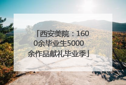 西安美院：1600余毕业生5000余作品献礼毕业季