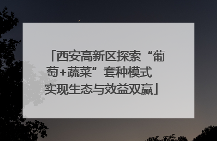 西安高新区探索“葡萄+蔬菜”套种模式 实现生态与效益双赢