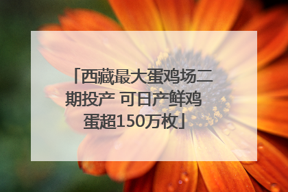 西藏最大蛋鸡场二期投产 可日产鲜鸡蛋超150万枚