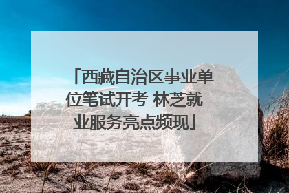 西藏自治区事业单位笔试开考 林芝就业服务亮点频现