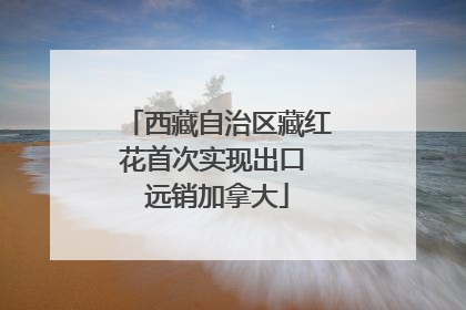 西藏自治区藏红花首次实现出口 远销加拿大