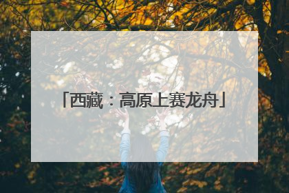 西藏：高原上赛龙舟