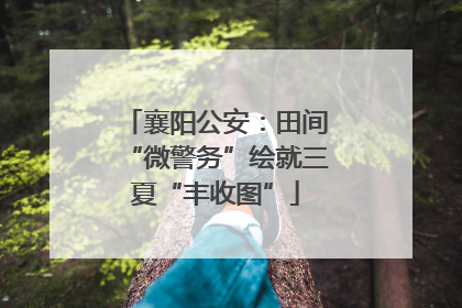 襄阳公安：田间“微警务”绘就三夏“丰收图”