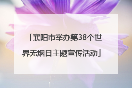 襄阳市举办第38个世界无烟日主题宣传活动