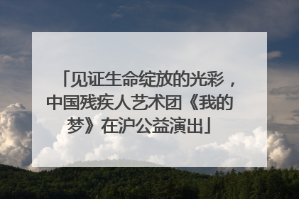 见证生命绽放的光彩，中国残疾人艺术团《我的梦》在沪公益演出