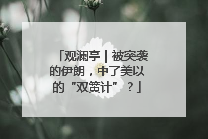 观澜亭｜被突袭的伊朗，中了美以的“双簧计”？