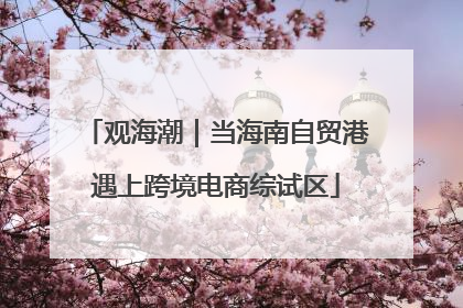 观海潮｜当海南自贸港遇上跨境电商综试区